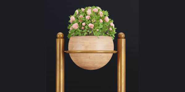 indoor plants new collection vol 35-Blender