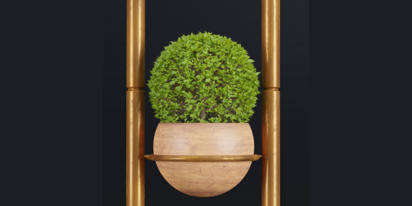 indoor plants new collection vol 35-Blender