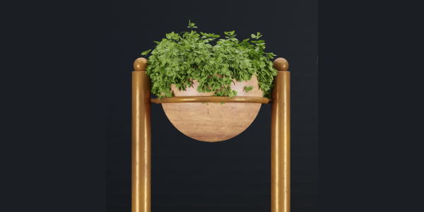 indoor plants new collection vol 35-Blender