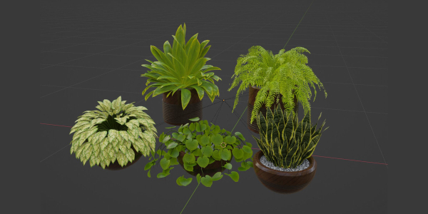 Indoor plants on shelf collection vol 184-Blender