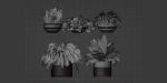 Indoor plants on shelf collection vol 184-Blender