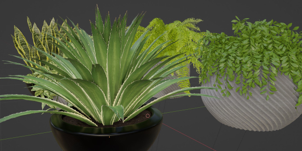 indoor plants on shelf collection vol 96-Blender