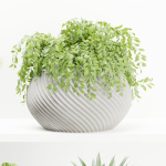 indoor plants on shelf collection vol 96-Blender