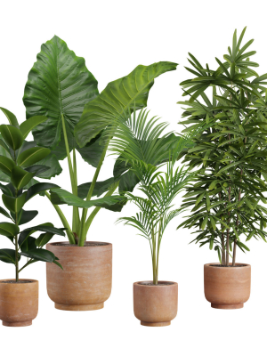 indoor-plants-pack-26-3d-model-max-obj-fbx-blend