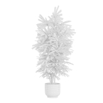 Indoor Plants Pack 26