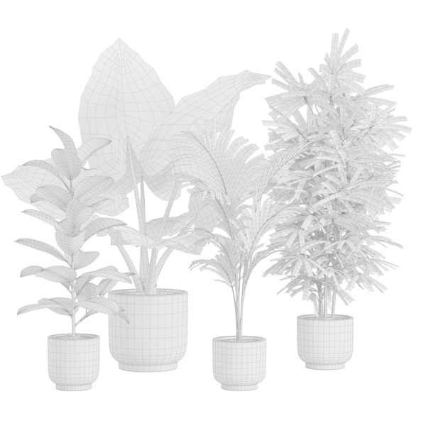 Indoor Plants Pack 26