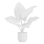 Indoor Plants Pack 26