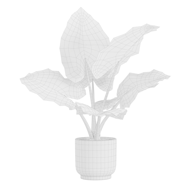 Indoor Plants Pack 26