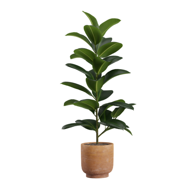 Indoor Plants Pack 26