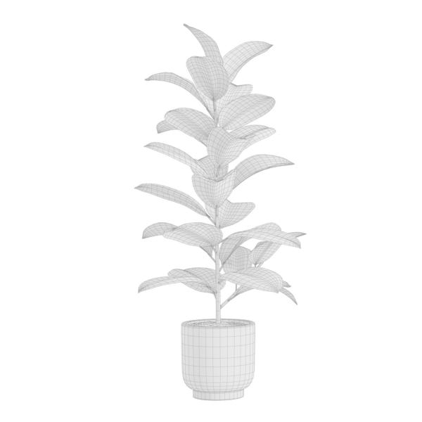 Indoor Plants Pack 26