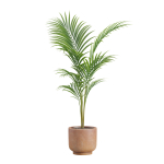 Indoor Plants Pack 26