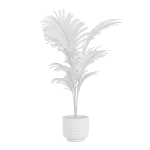 Indoor Plants Pack 26