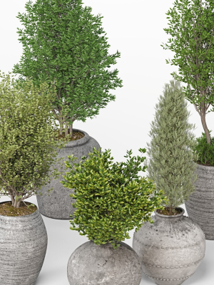 indoor-plants-set-13-3d-model-8866f609ad