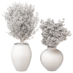 Indoor Plants set 13
