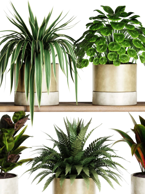 indoor-shelf-plants-set40-3d-model-4c6e777f00