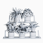Indoor shelf plants set40