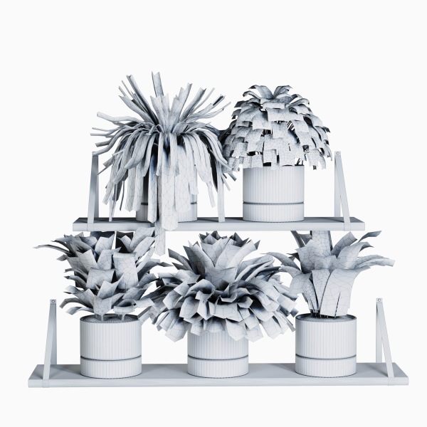Indoor shelf plants set40