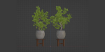 Indoor Shrubs vol 63-Blender