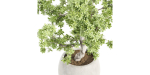 Indoor Shrubs vol 63-Blender