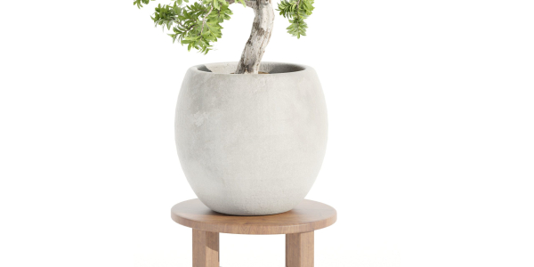 Indoor Shrubs vol 63-Blender