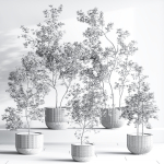 IndoorSetPlant045