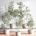 IndoorSetPlant045
