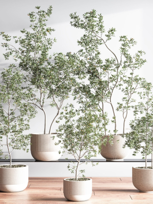 indoorsetplant045-3d-model-aab884cbbf