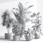IndoorSetPlant046