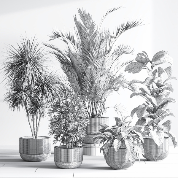 IndoorSetPlant046