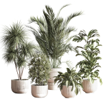 IndoorSetPlant046