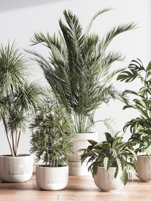 indoorsetplant046-3d-model-56e54f6770