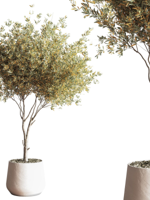 indoorsetplant054-3d-model-1f6848ccd6