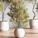 IndoorSetPlant054