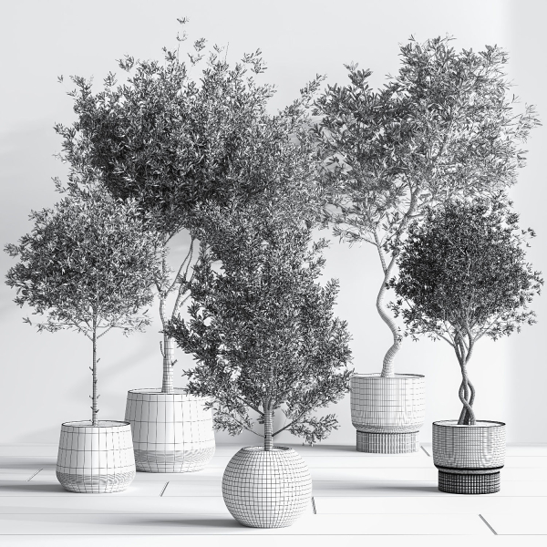 IndoorSetPlant054