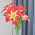 Interior decorative flowers vol 168-Blender