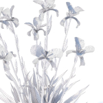 Iris germanica flower