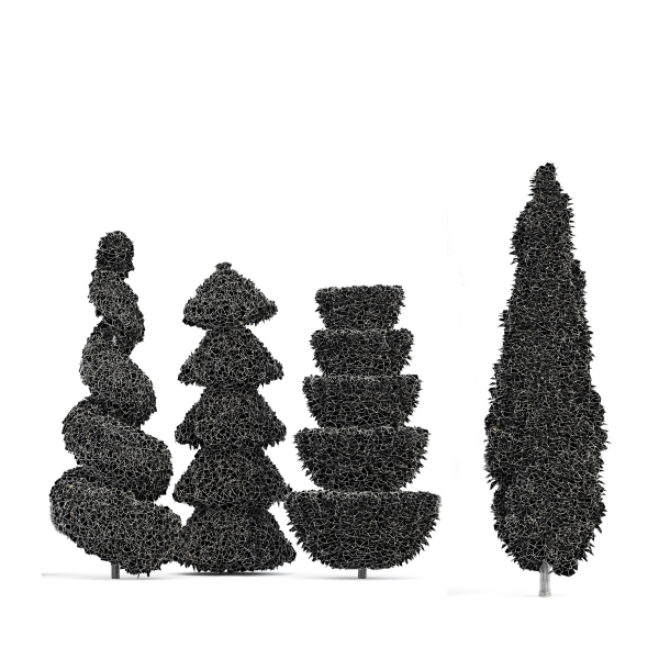 Italian Cypress 4 trees