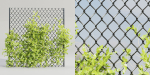 Ivy-fence collection vol 123-Blender