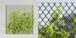 Ivy-fence collection vol 123-Blender