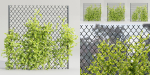 Ivy-fence collection vol 123-Blender