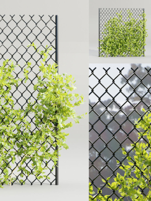 Ivy-fence collection vol 123-Blender