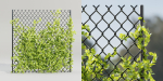 Ivy-fence collection vol 123-Blender