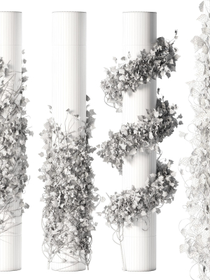 ivy-plant-set-01-3d-model-1ae431c0a6