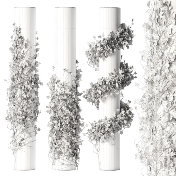 Ivy Plant Set 01