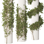 Ivy Plant Set 01