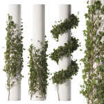 Ivy Plant Set 01