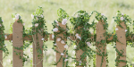 ivy wooden fence vol 25-Blender