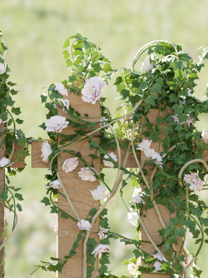 ivy-wooden-fence-vol-25-blender-3d-model-41867c2585