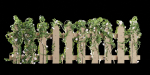 ivy wooden fence vol 25-Blender