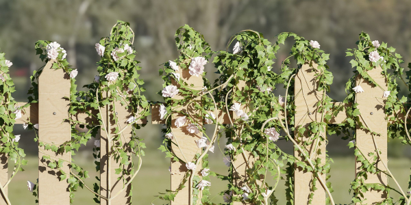 ivy wooden fence vol 25-Blender